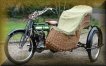 Rex-JAP (2)